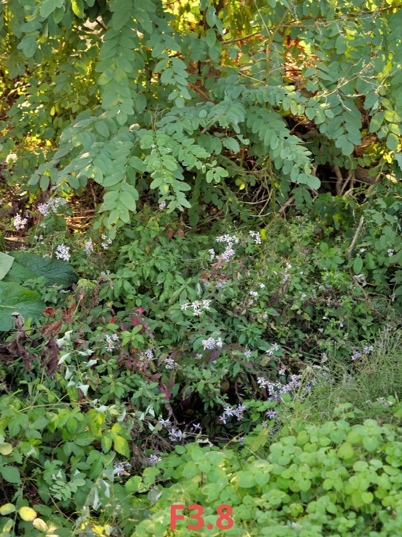 【訳あり動作品】LEICA DG VARIO-ELMARIT 12-60mm