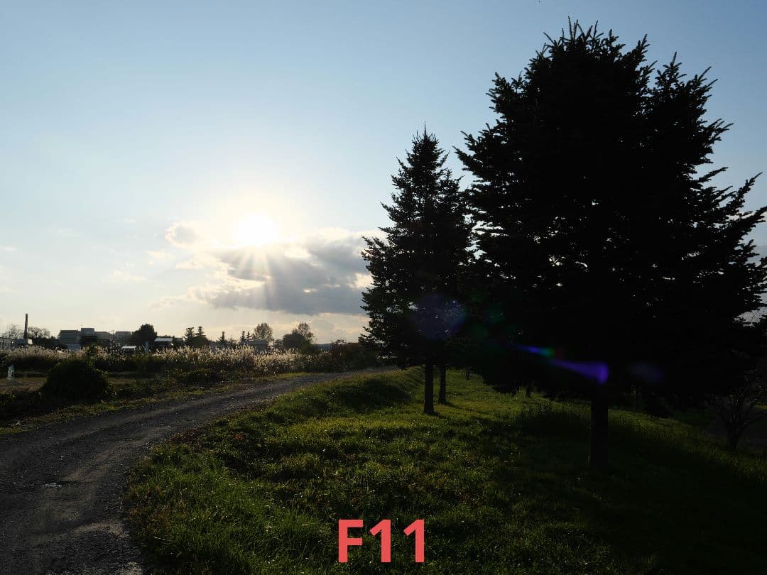 【訳あり動作品】LEICA DG VARIO-ELMARIT 12-60mm