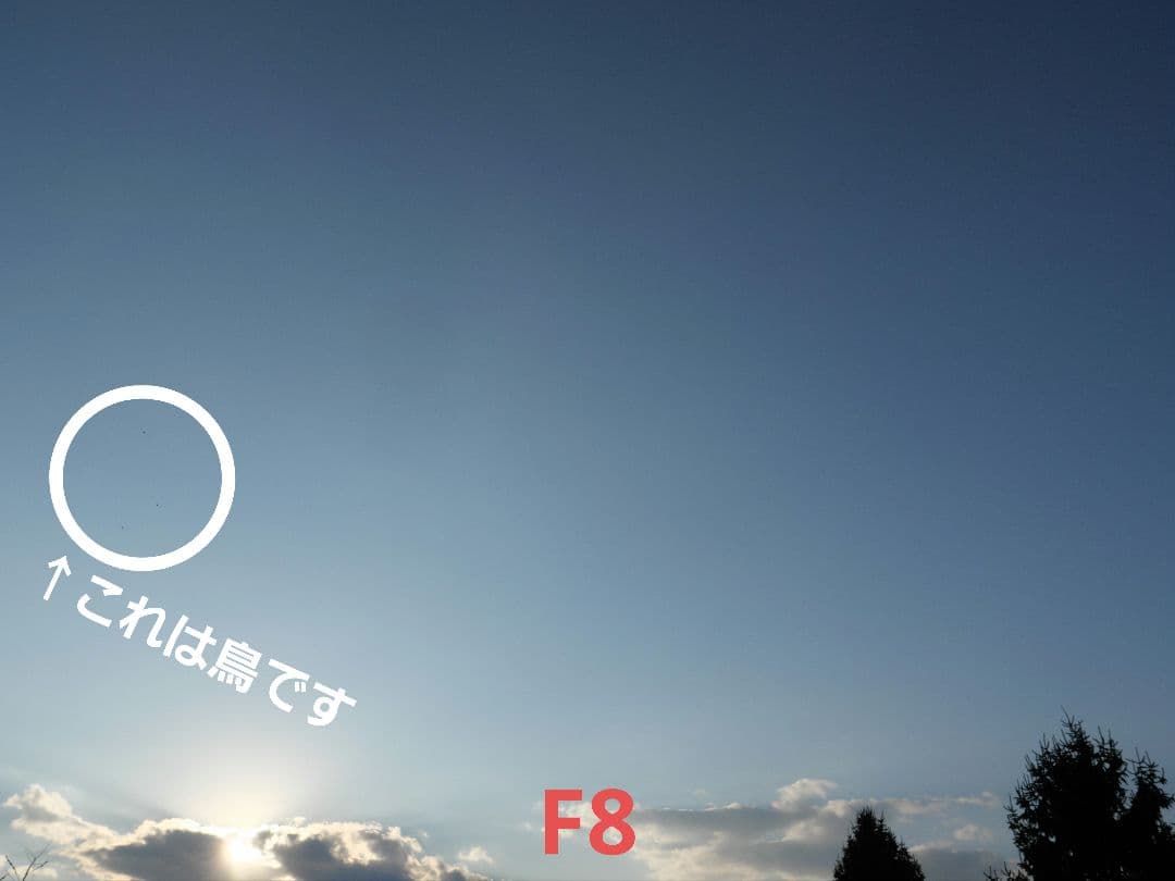 【訳あり動作品】LEICA DG VARIO-ELMARIT 12-60mm