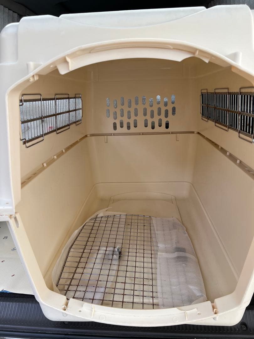 バリケンネルXL（２月３日まで）