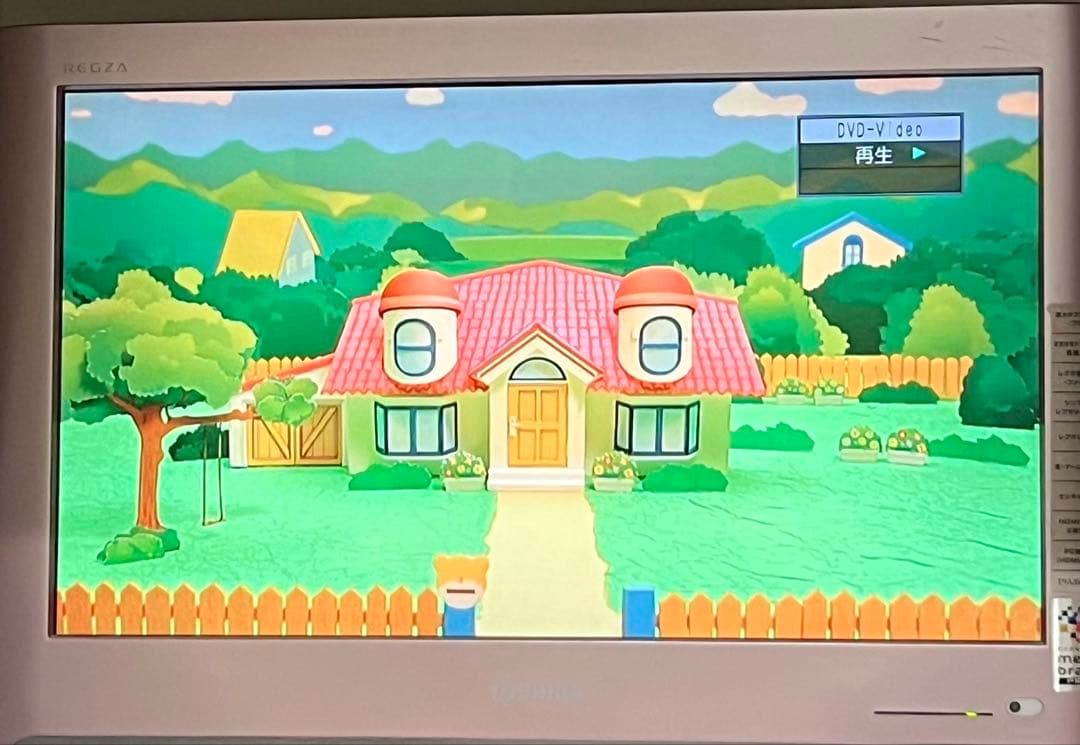 Panasonic DIGA ブルーレイレコーダー 1TB