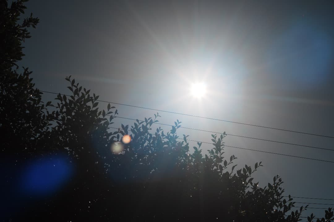 【バブルボケ】 FUJINON 55mm F2.2 M42 563