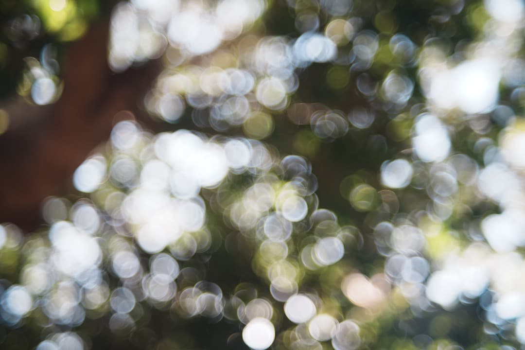 【バブルボケ】 FUJINON 55mm F2.2 M42 563