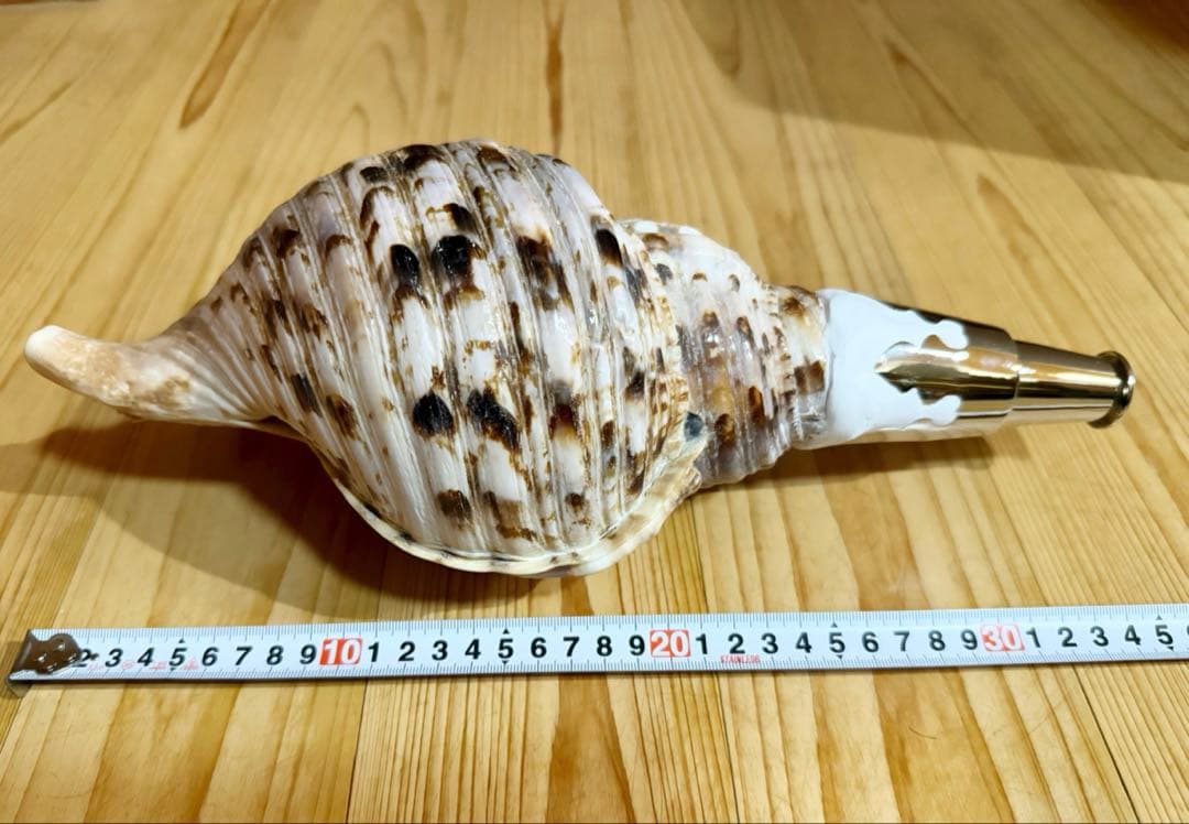 修験道法螺貝　山伏　密教　魔除け　熊よけ、❣️ホラガイ　ほら貝