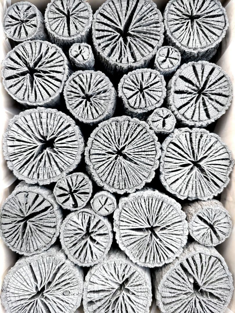 たーちん⑤【 伊予の切炭 】太め菊炭特選×2箱