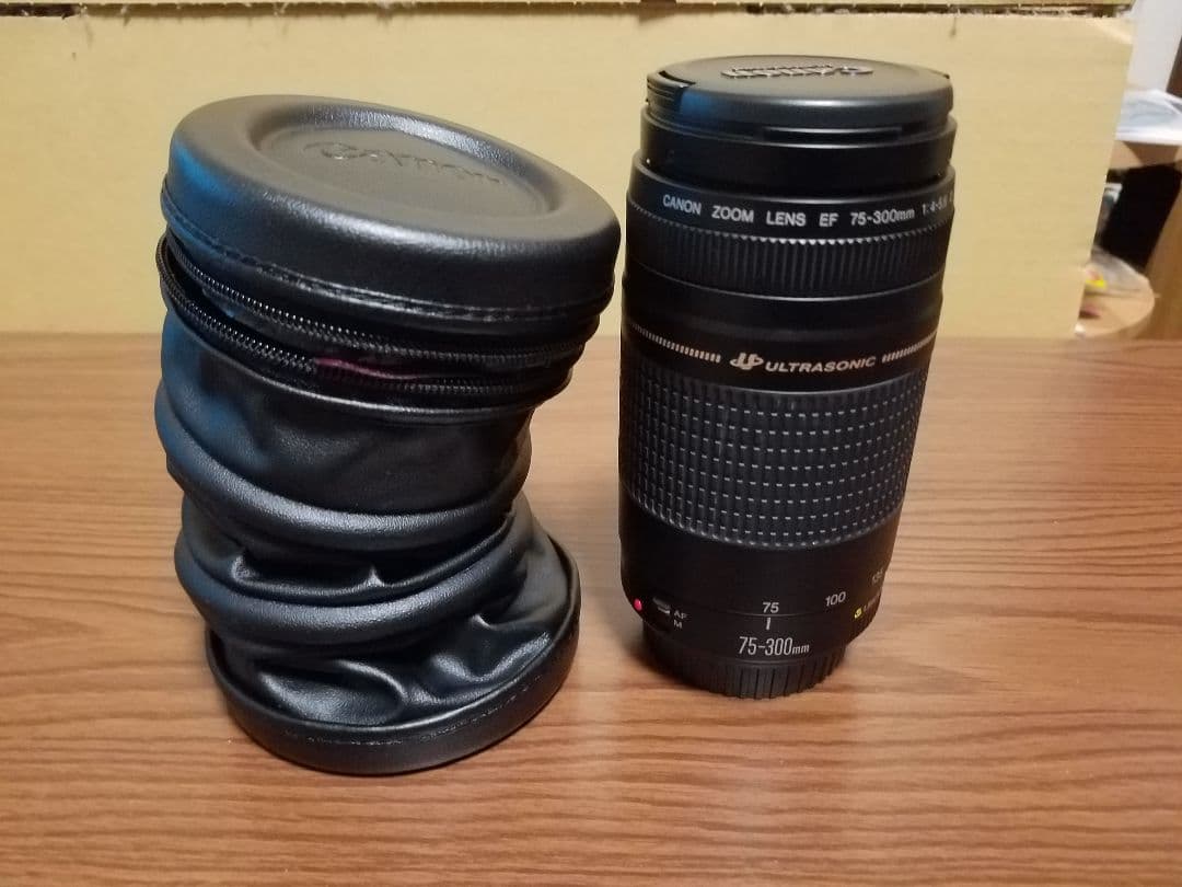 値下げ❗Canon一眼レフセット+純正ケース[ジャンク品]