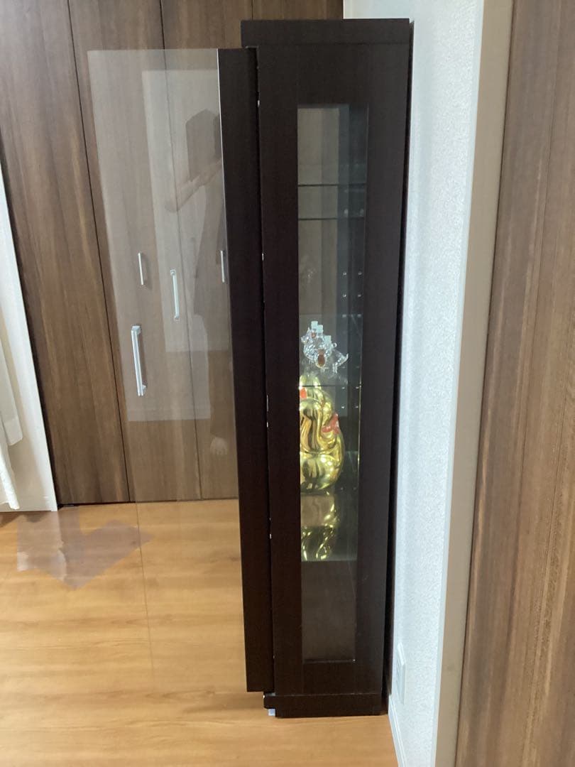 コレクション　ガラスケース　縦型　ハイタイプ　背面ミラー　5段(ガラス板4枚)