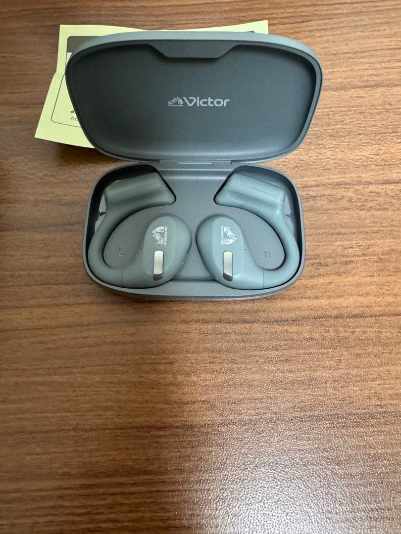 Victor HA-NP50T 箱汚れあり　セージグリーン　商品説明必読