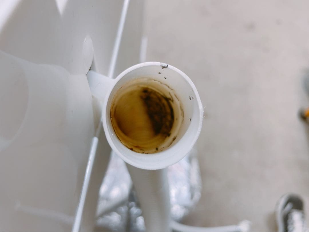 関東限定送料無料 TWINBIRD 全自動電気洗濯機 0201ほ6 H 220