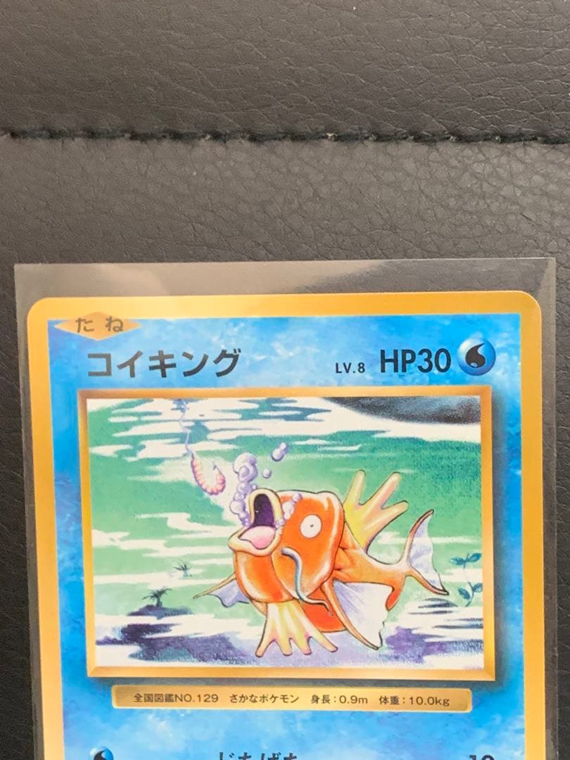 コイキング CP6 XY