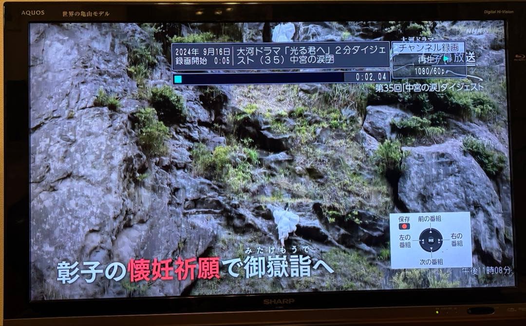 2017年製 Panasonic ブルーレイ DIGA DMR-UX7030