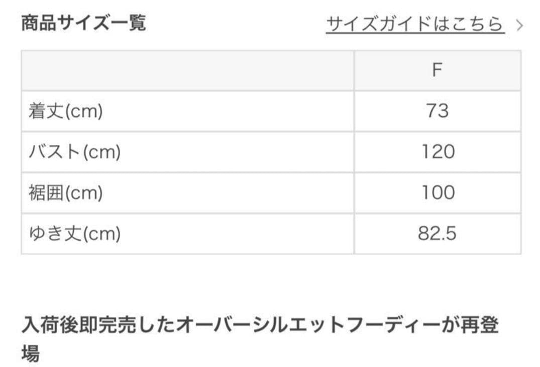LAVA SUKALA ダブルエアーzipフーディーパーカー 着用感 LL