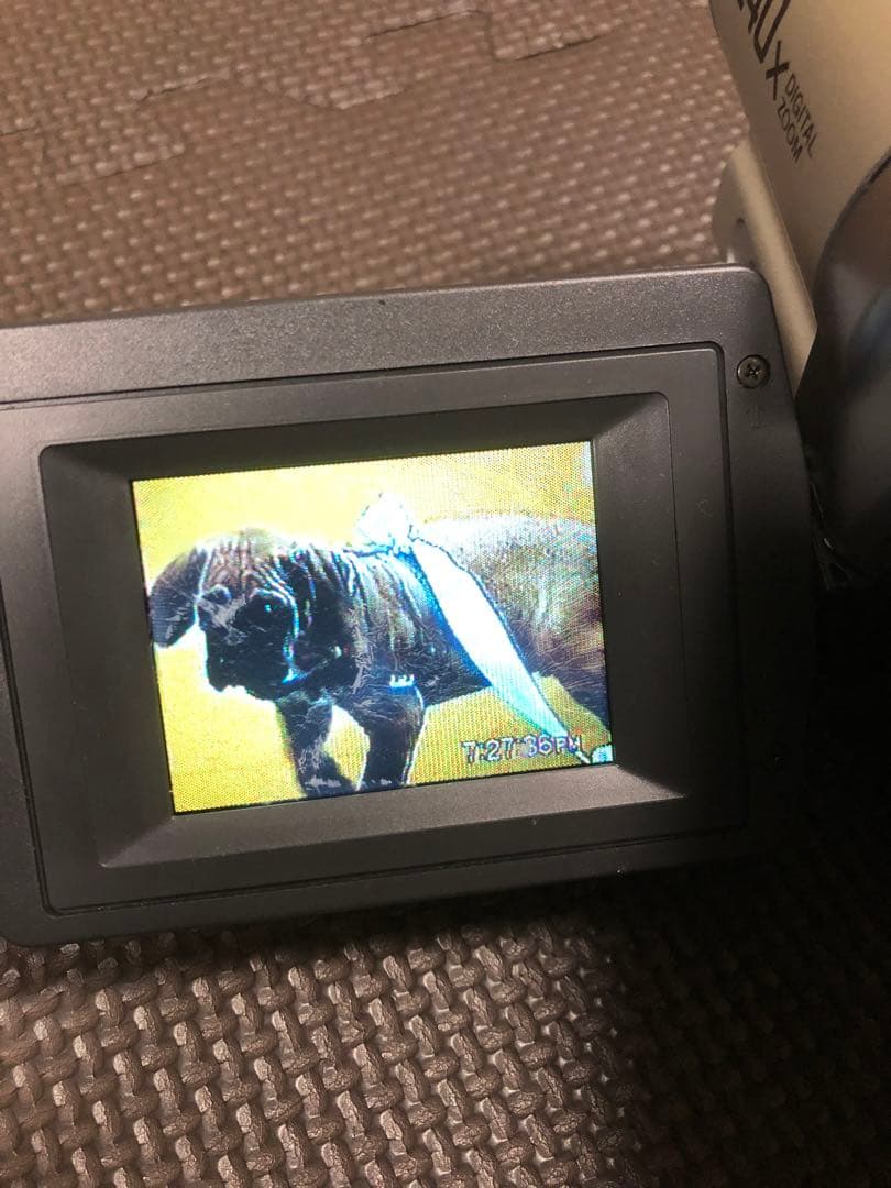 SONY Handycam 240倍デジタルズーム（未開封テープ5本付き）