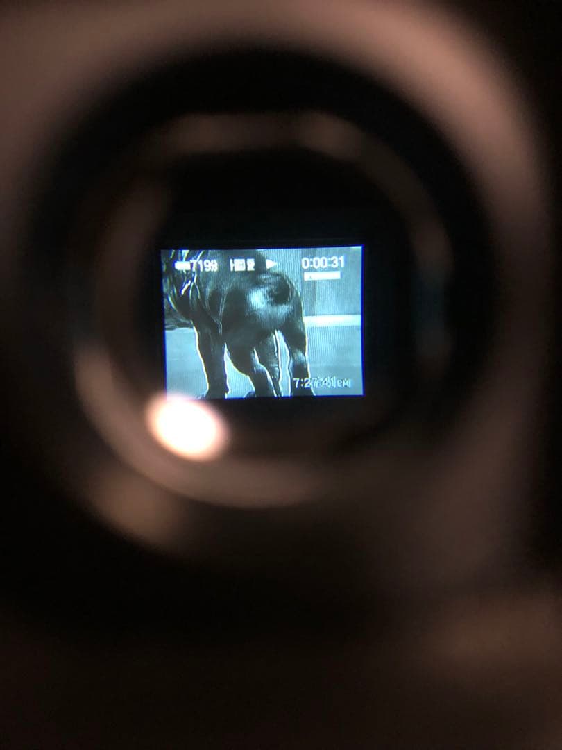 SONY Handycam 240倍デジタルズーム（未開封テープ5本付き）