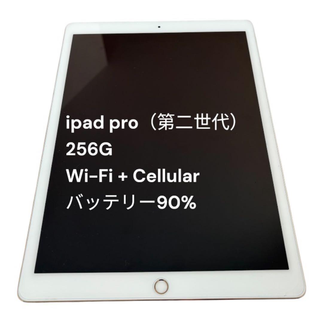iPad Pro (第二世代) 256GB Wi-Fi + Cellular