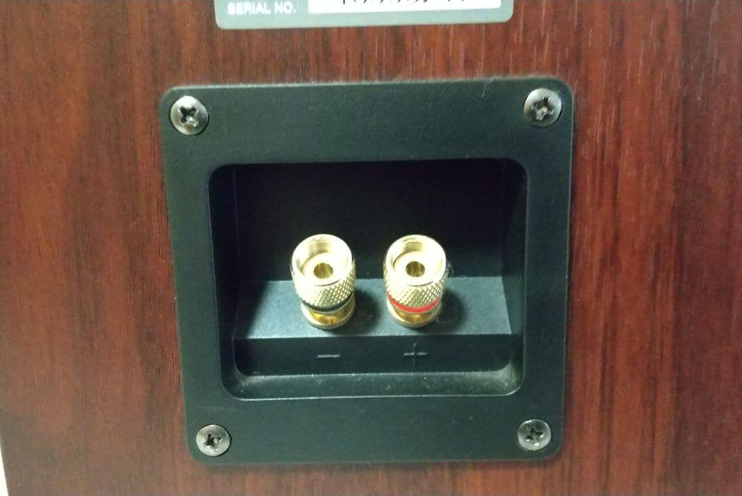 KENWOOD 2ウェイスピーカー LS-K901-M ケンウッド