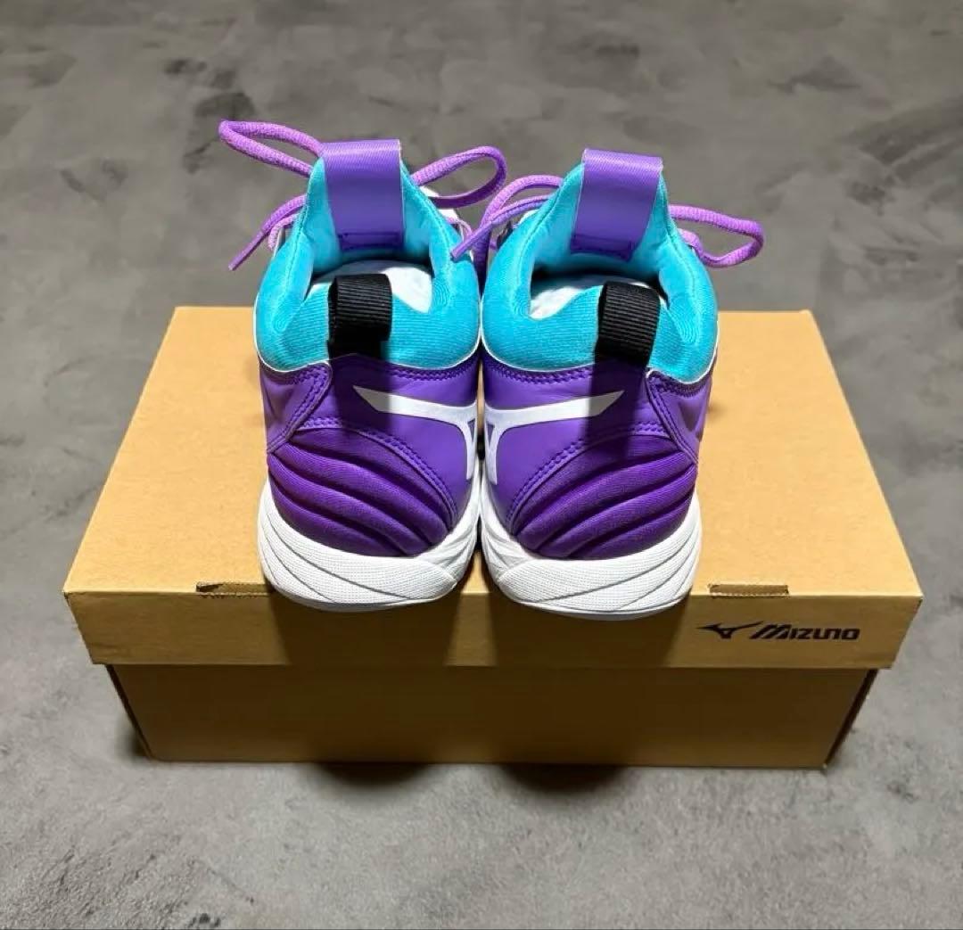 バレーボールシューズ MIZUNO
