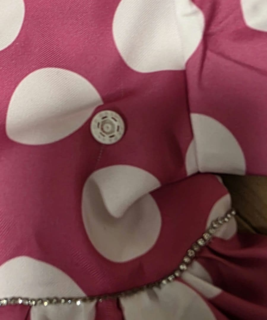 オ*︎様 ワケアリ　140センチ　ミニー コスプレ パルパルーザ　ファンダーラン