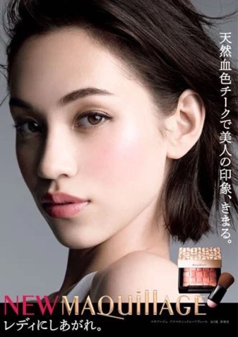 マキアージュ ドラマティックムードヴェール　シルキー　チーク　ケース　PK RD