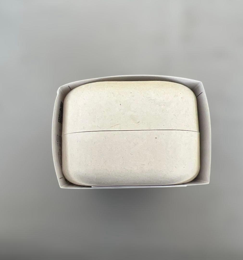 601360 nwm オープンイヤー型 完全ワイヤレス 耳スピーカー