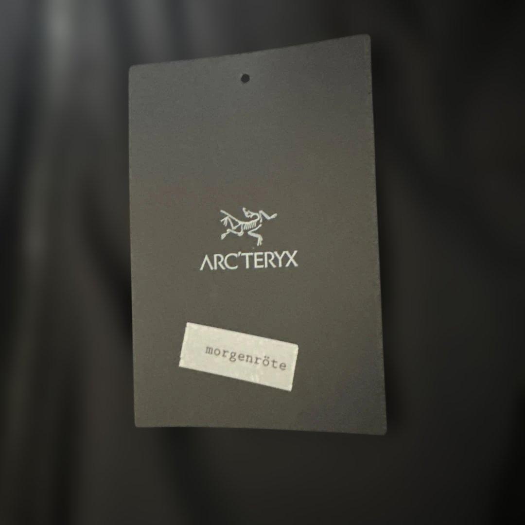 Arc'teryx Atom Hoody 【M】