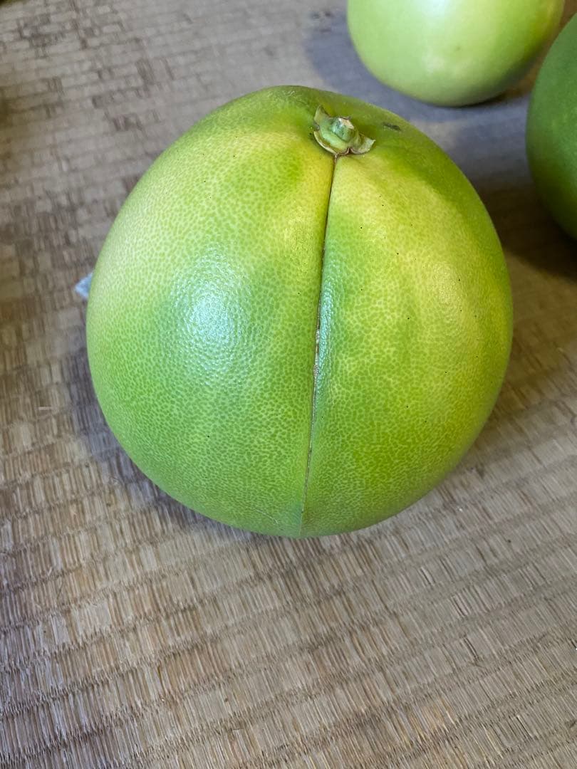 チャンドラポメロ　訳あり　20kg