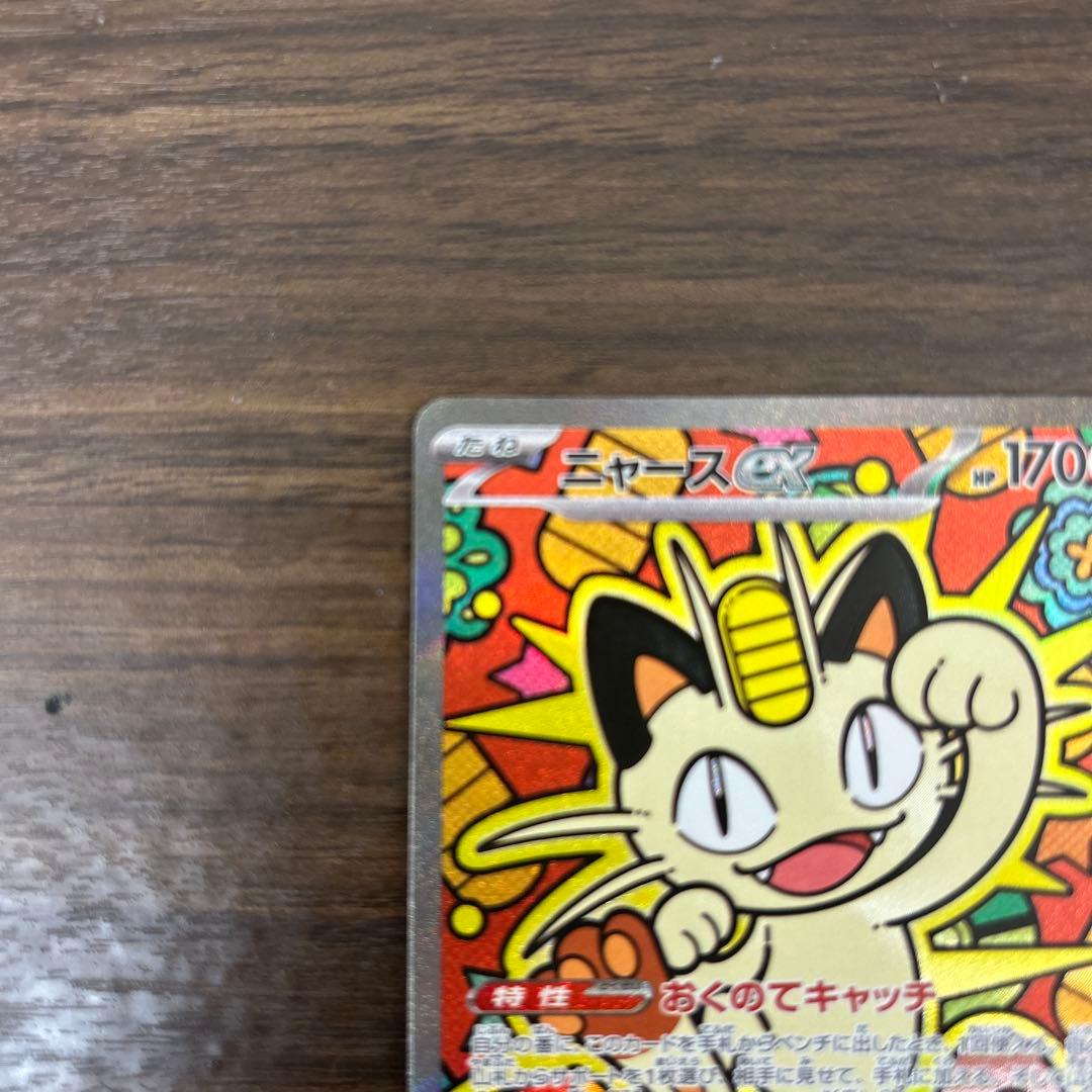 ニャースSAR 購入後24時間以内発送可