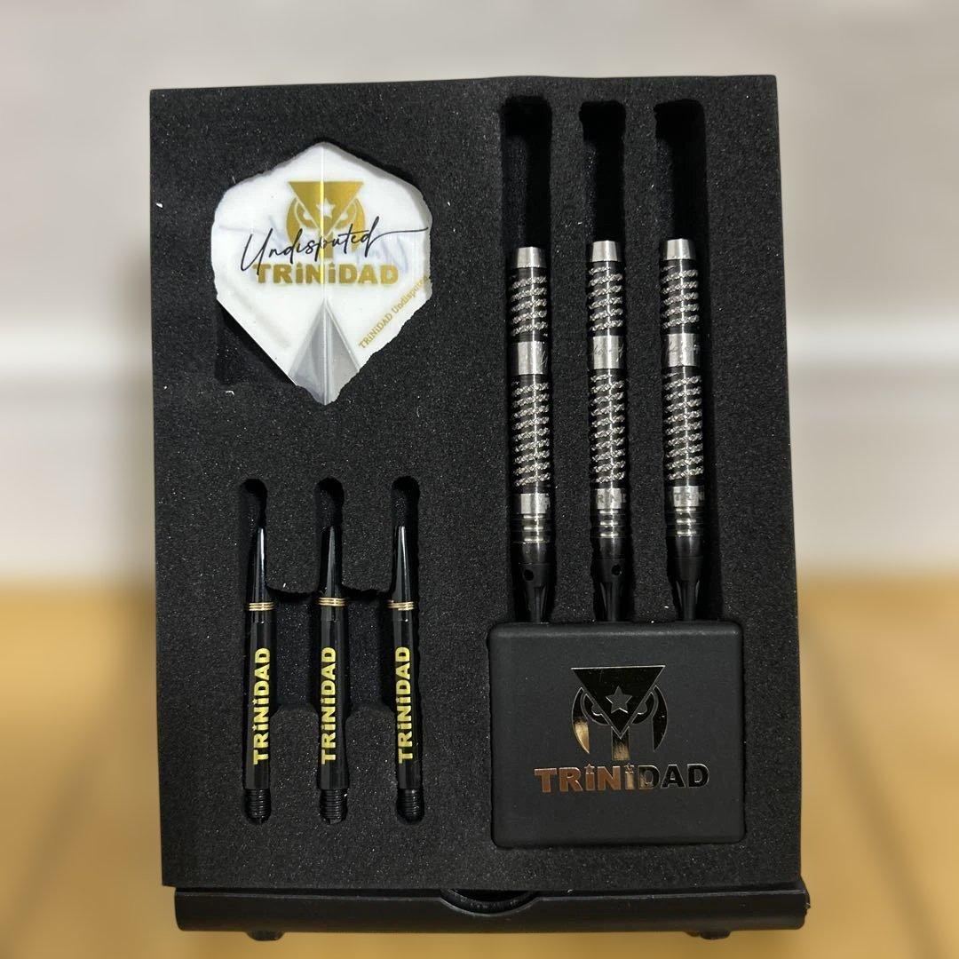 浅田斉吾　RICARDO TYPE2 エスダーツ限定モデル