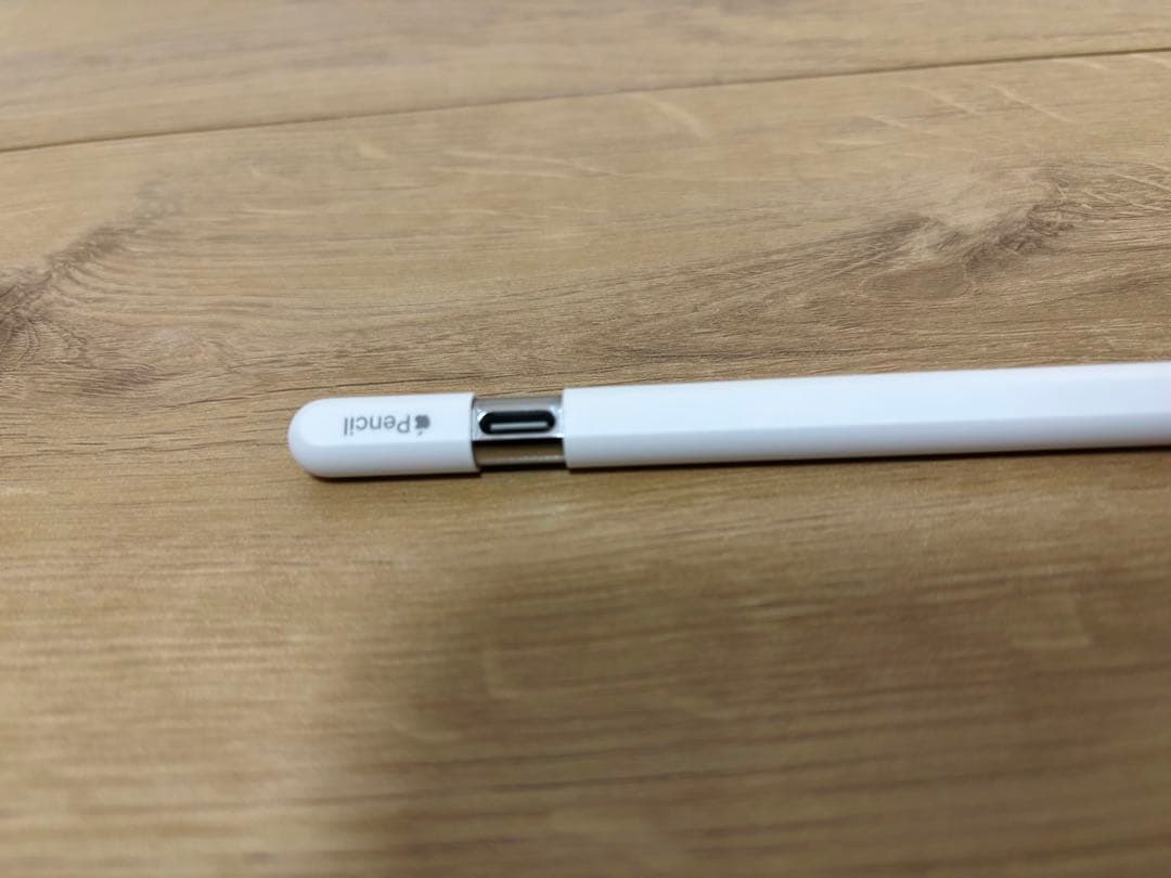 iPadアクセサリー Apple Pencil(USB-C)