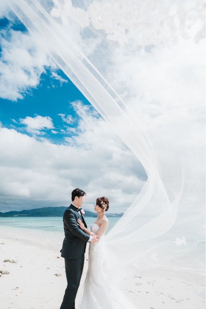 マーメイド ウェディングドレス ワタベウェディング ヴェパリ ロングベールセット