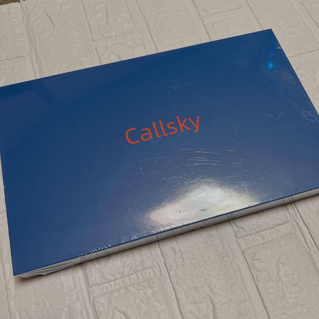 Android15 タブレット 10.1インチ Wi-Fiモデル ケース付き