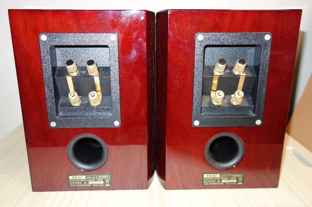 TEAC S-300NEO 同軸2ウェイスピーカー