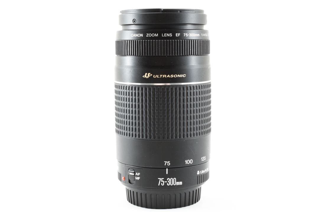 フルサイズ対応キャノン Canon EF 75-300㎜F4-5.6 Ⅲ USM