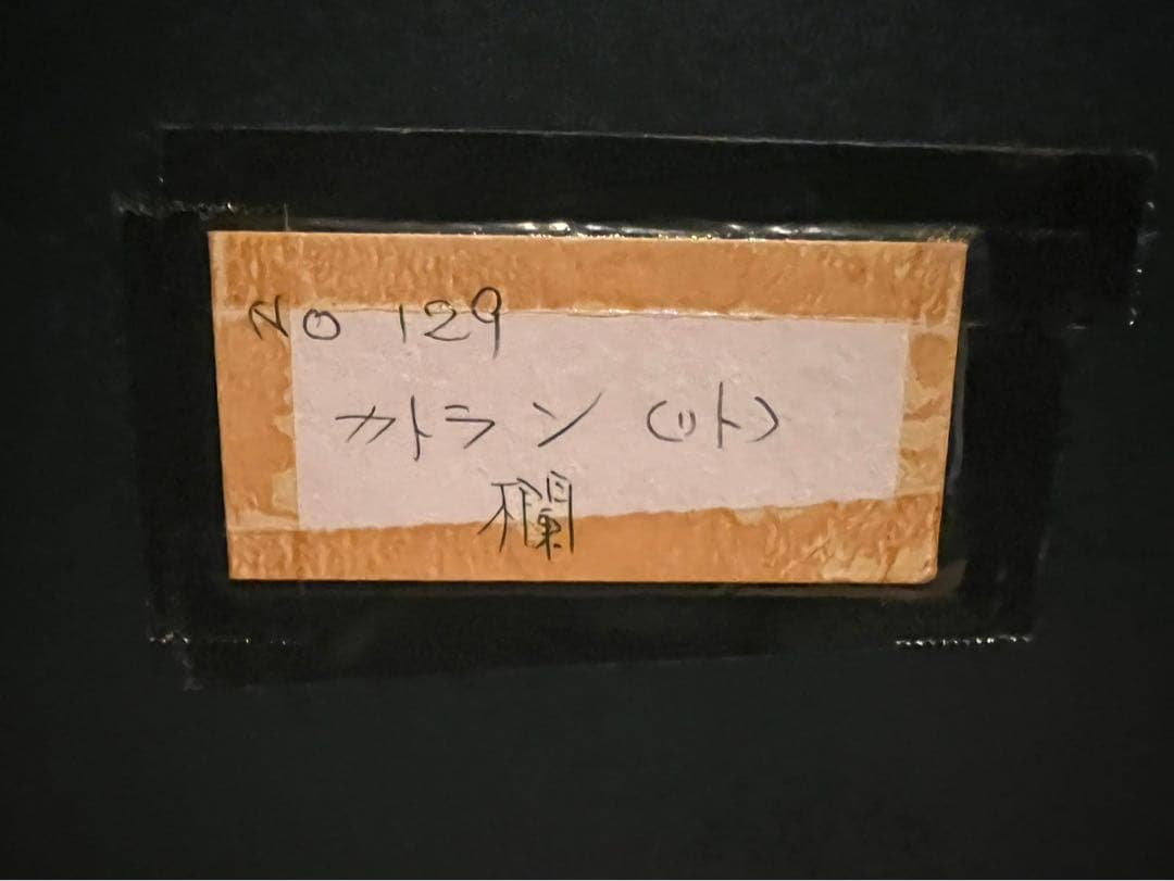 プロキオン＊ベルナール カトラン リトグラフ ポスター 欄 絵画 額縁