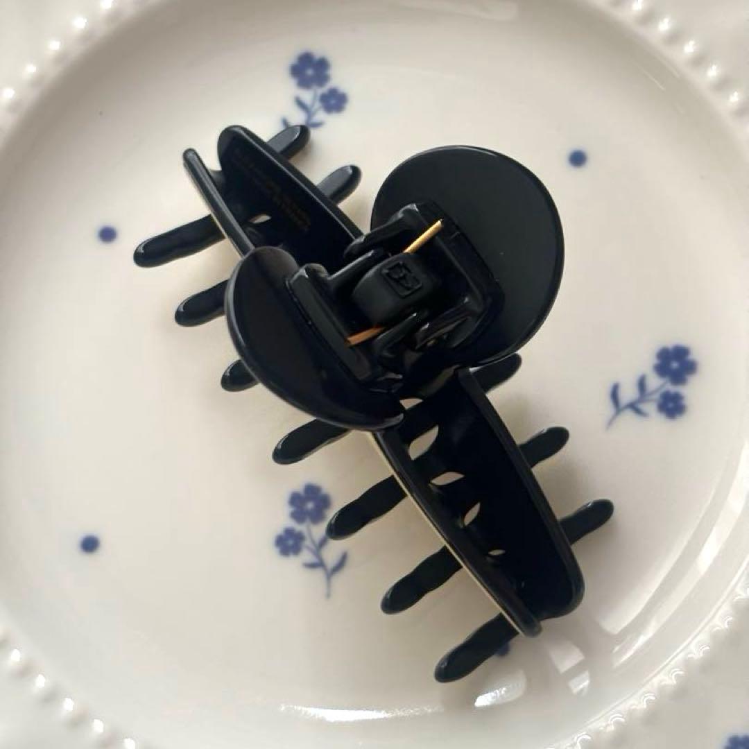 美品✨️アレクサンドルドゥパリ✨️クリップ✨️Mリズレ