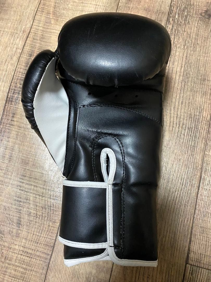 ボクシングTWINSヘッドギア L ISAMIグローブ 12オンス 大人用