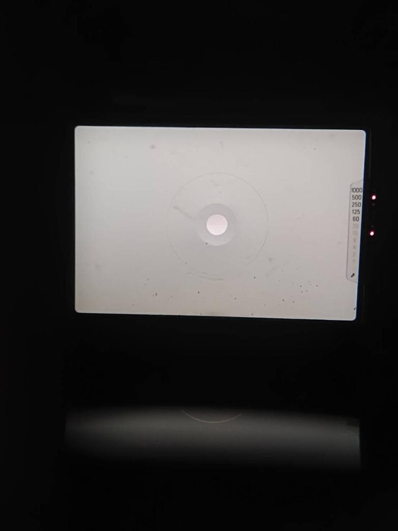 外観美品 NIKON FG シルバーフィルムカメラ　モルト新品交換済 M136