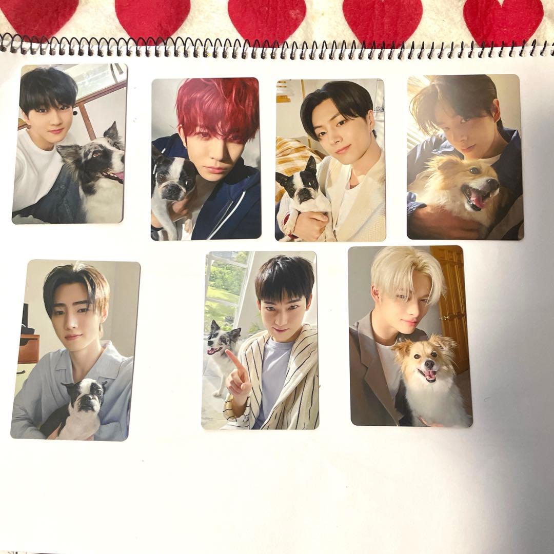 ENHYPEN FC限定　アンケートトレカ特典　エナプ　コンプ　2025