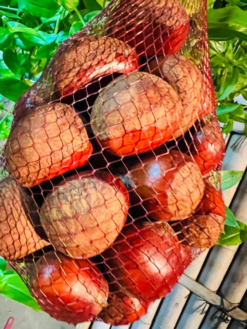 【新月様ご依頼分】専用大粒②ネット＋むき栗②＋手書きクール便＋北海道送料1460