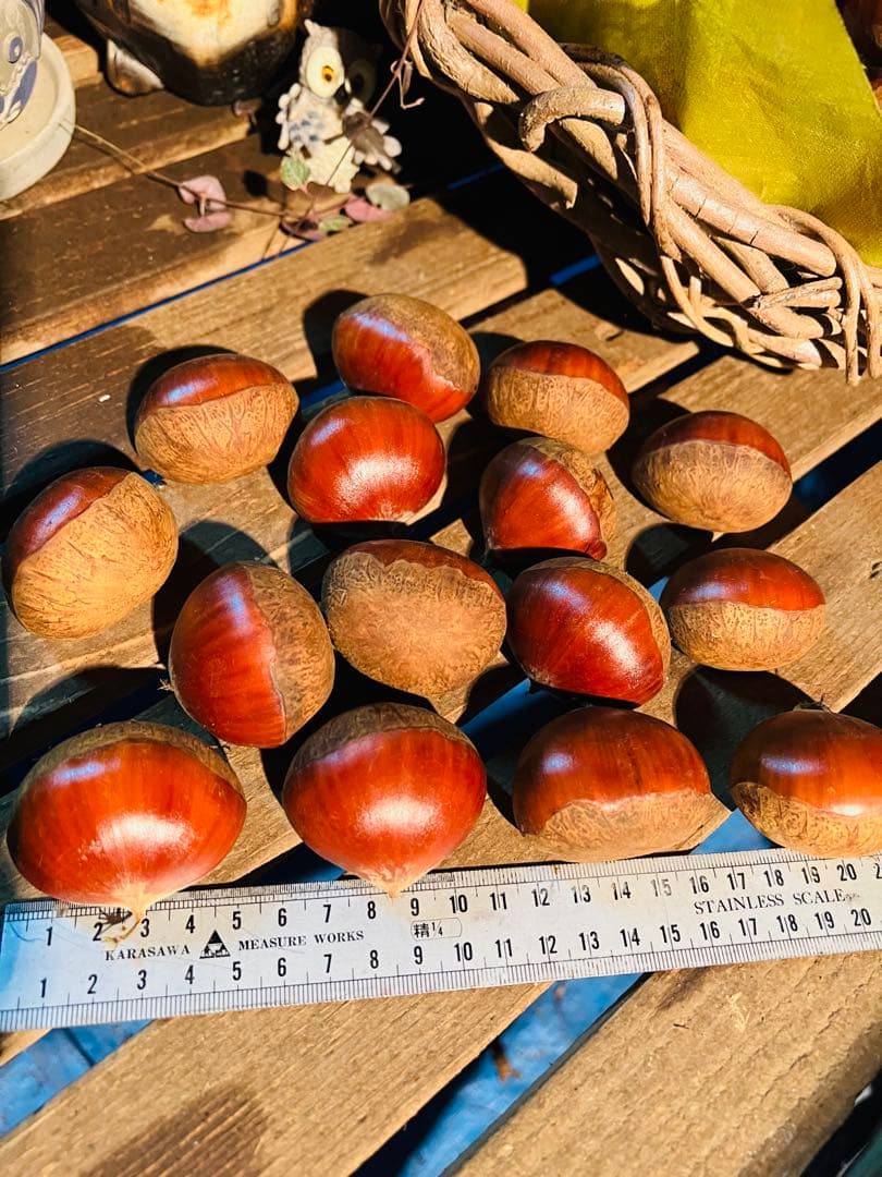 【新月様ご依頼分】専用大粒②ネット＋むき栗②＋手書きクール便＋北海道送料1460