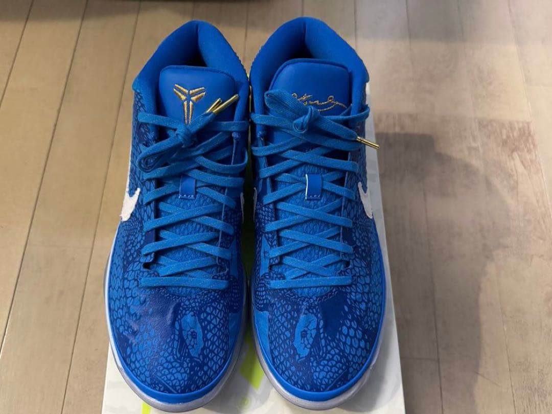 Nike KOBE AD DEROZAN PE US8.5初期モデル