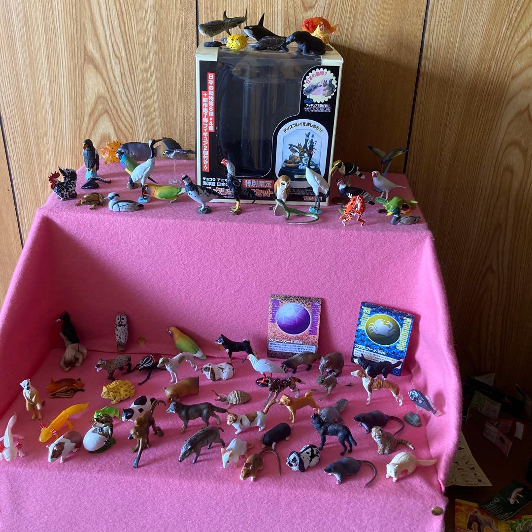 海洋生物動物フィギュアセットわがままな日本の天然記念物カード50枚以上特別ケース