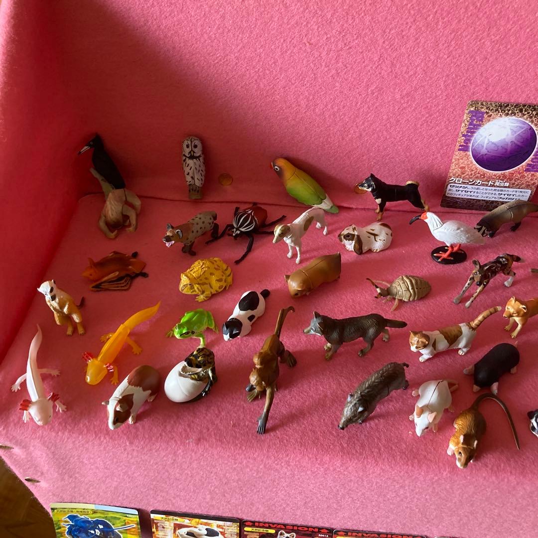 海洋生物動物フィギュアセットわがままな日本の天然記念物カード50枚以上特別ケース