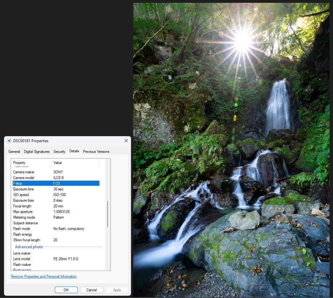 レンズ(単焦点) SONY FE 20mm f1.8 G SEL20F18G
