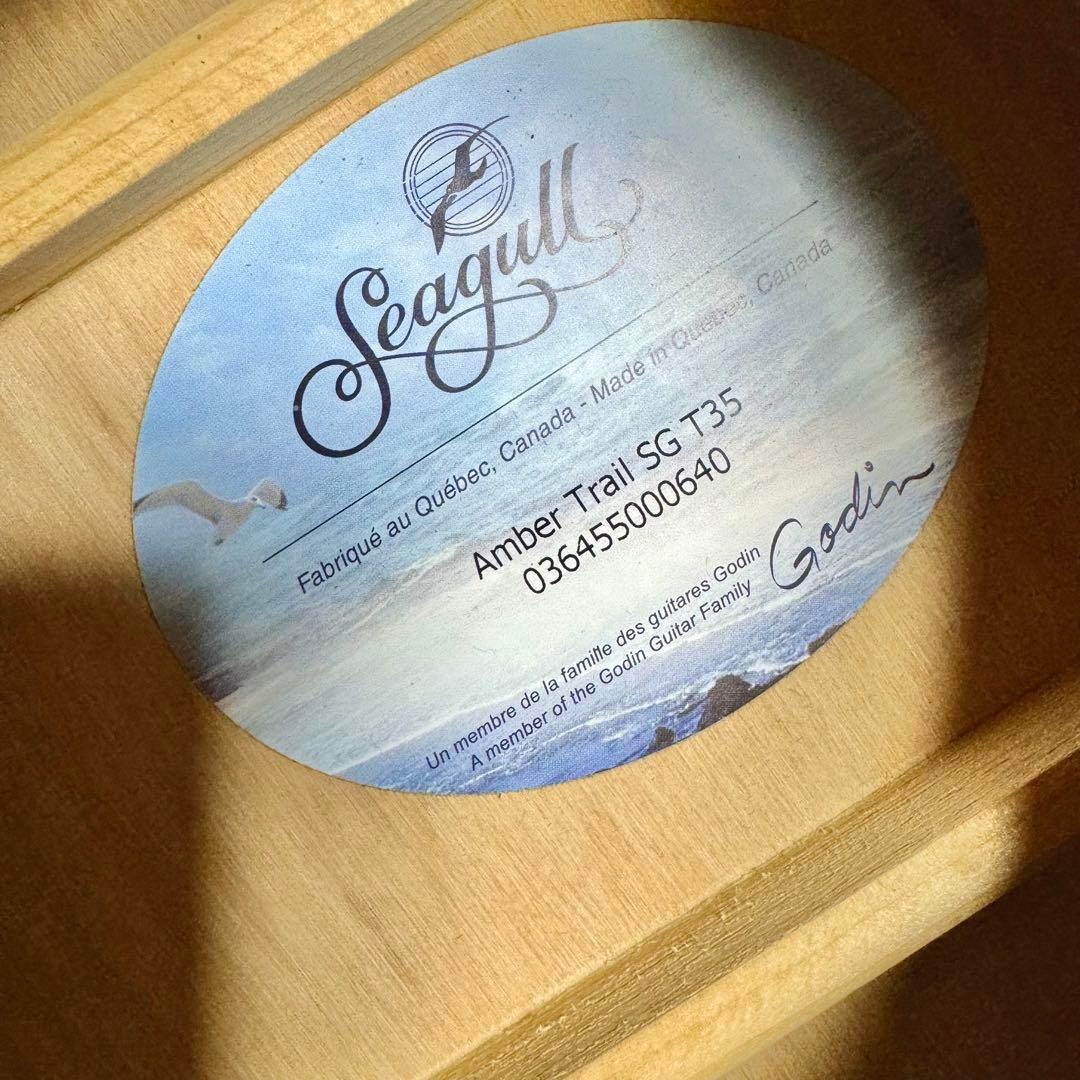 【訳あり】 Seagull シーガル AT SG T35 エレアコ アコギ