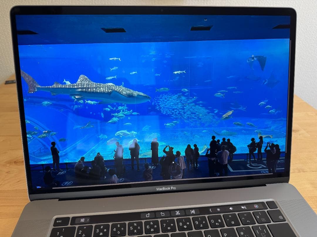 【美品】MacBook Pro 2019 (16インチ) 32G SSD1TB