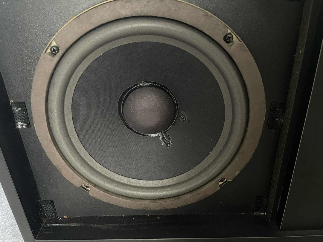 BOSE 301TM 音出し確認済み