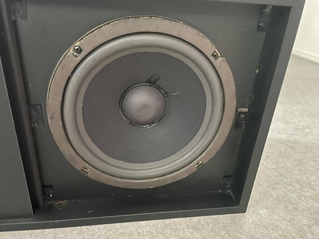 BOSE 301TM 音出し確認済み