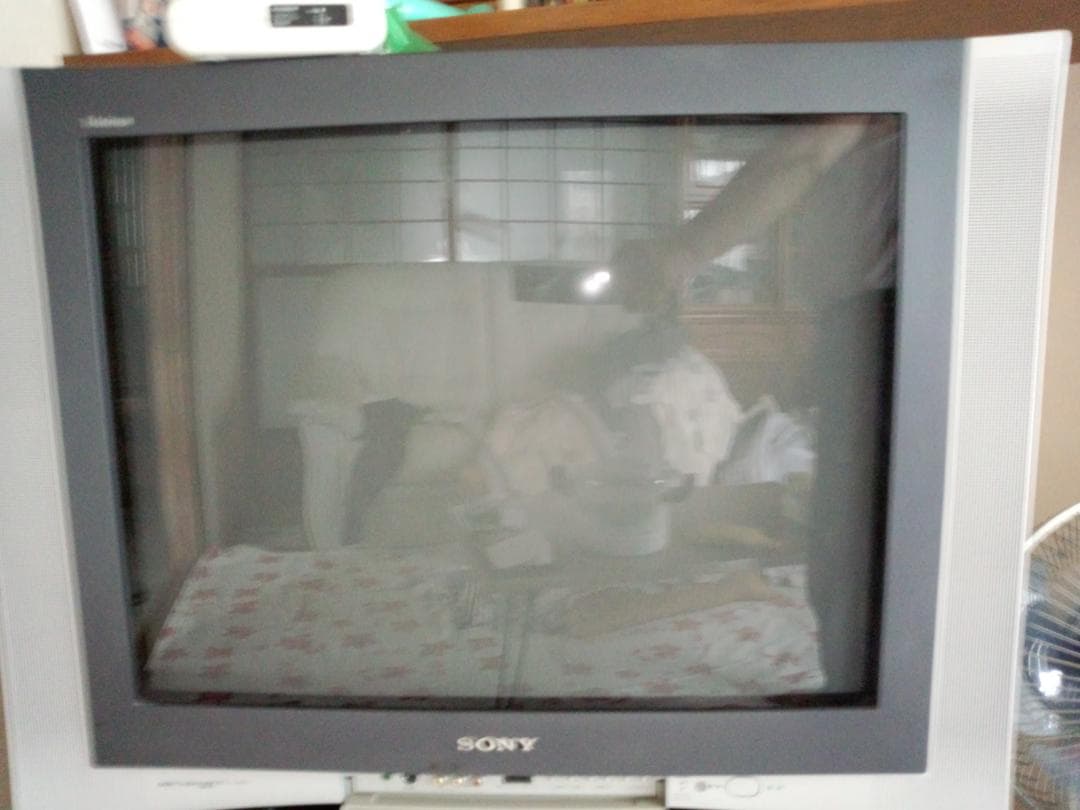 ブラウン管テレビ　ソニーBSKV-29OS55 WOW/trusurround