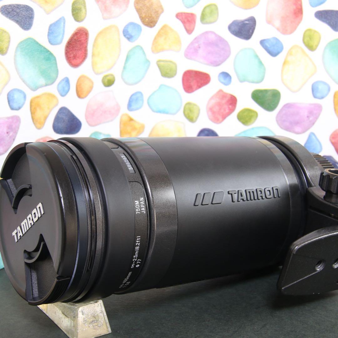 ♥︎◇高性能望遠レンズ♪ ◇TAMRON 200-400ｍｍ SONY